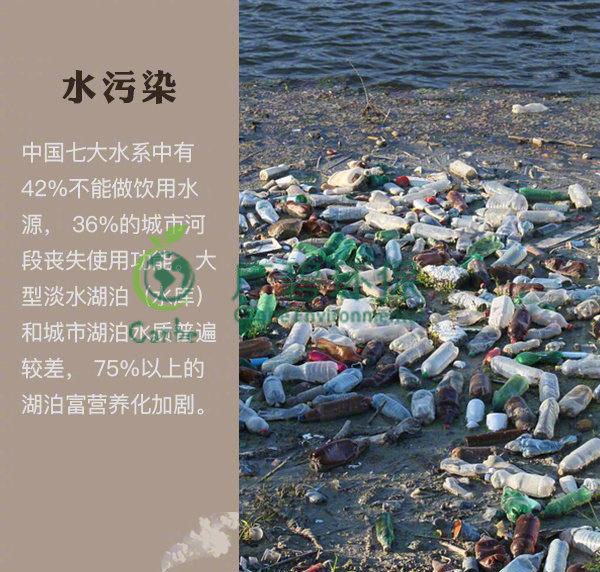世界地球日 我們能為地球做些什么？(圖2)