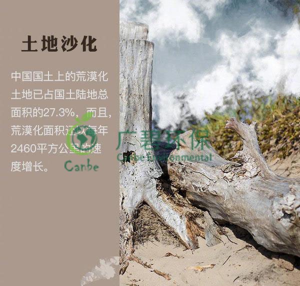 世界地球日 我們能為地球做些什么？(圖4)