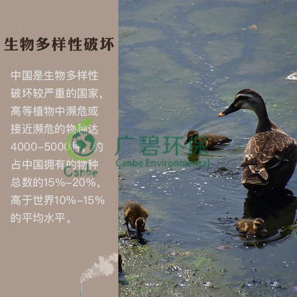 世界地球日 我們能為地球做些什么？(圖6)