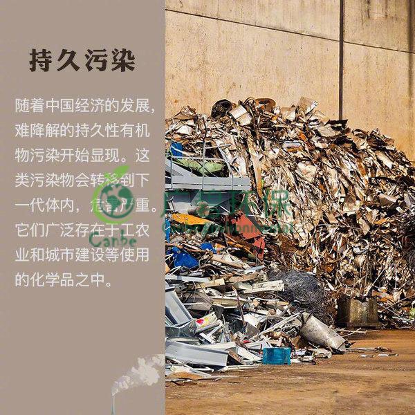世界地球日 我們能為地球做些什么？(圖8)