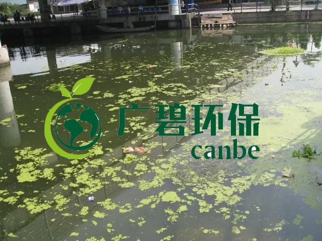 城市黑臭河道如何治理？河道黑臭水體治理思路(圖3)