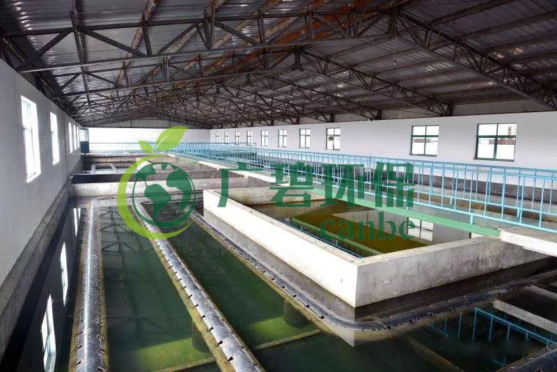 什么是制糖廢水？制糖廢水處理技術(shù)(圖1)