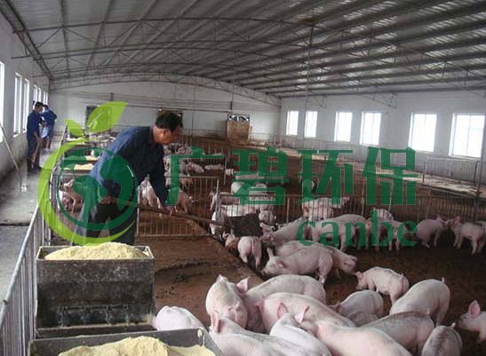 什么是養(yǎng)殖廢水？養(yǎng)殖廢水處理工藝(圖1)