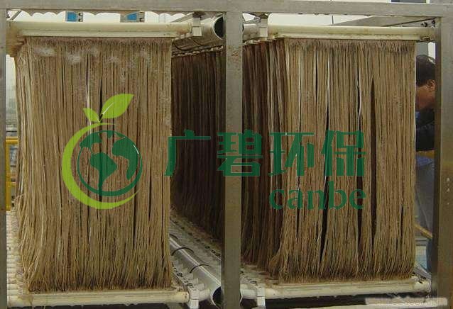 MBR污泥膨脹怎么處理？污泥膨脹的處理方法(圖1)