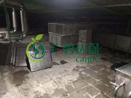 廣州旺旺食品廢水直排，永和河大量魚類死亡(圖3)