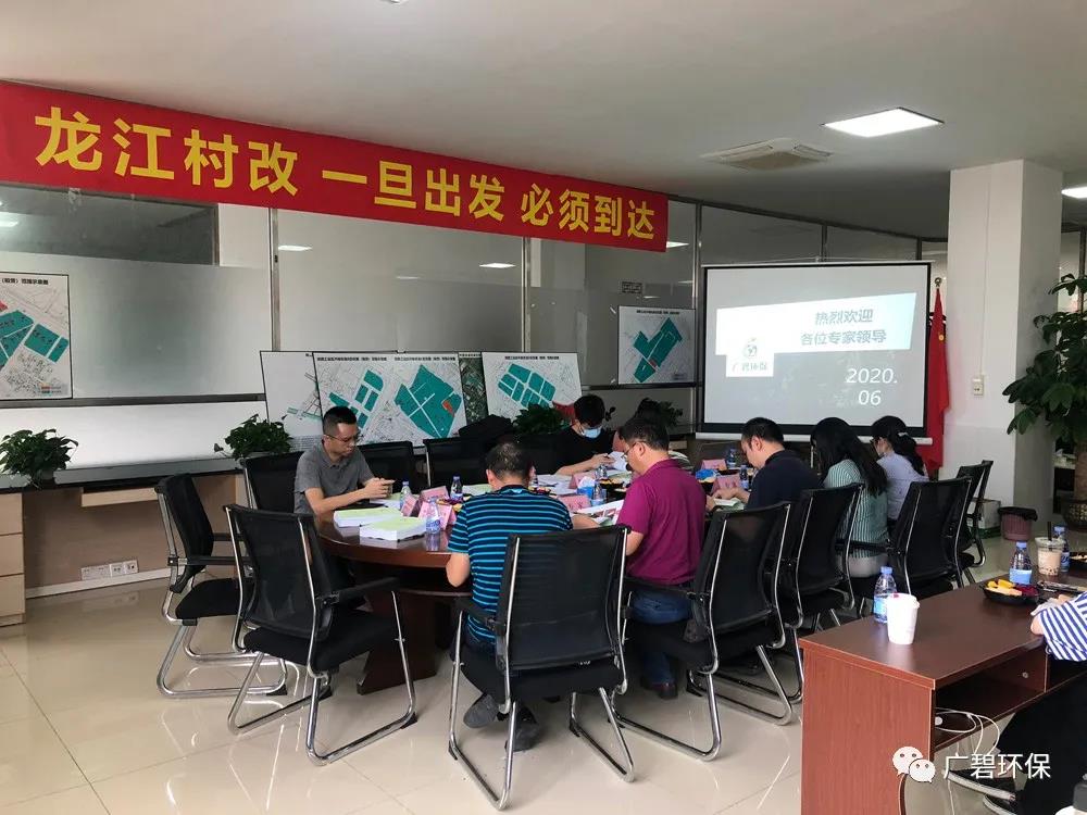 廣碧環(huán)?！洱埥?zhèn)坦西工業(yè)區(qū)地塊土壤污染狀況調(diào)查報告》通過評審(圖1)