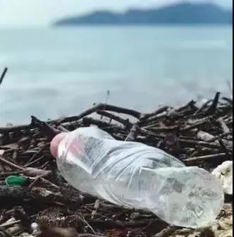 世界地球日|珍愛(ài)地球，人與自然和諧共生(圖8)